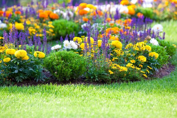 Flower Bed Maintenance in Lakeville