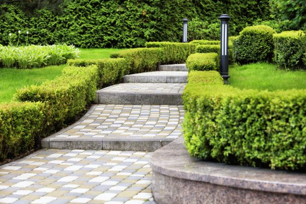 Backyard Remodeling in Lakeville