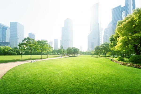 Commercial Landscape Maintenance in Lakeville
