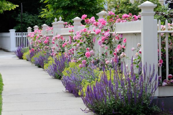 Garden Handyman Service in Lakeville