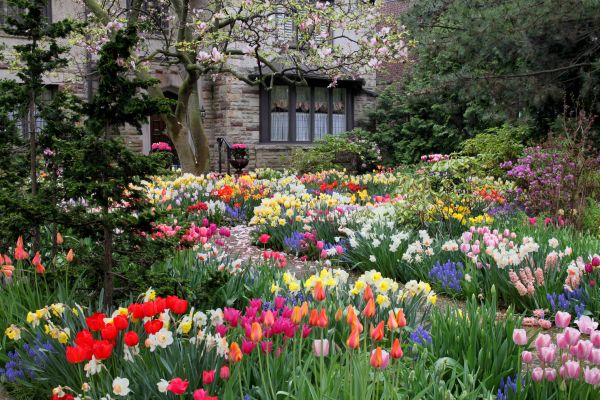 Garden Maintenance Service in Lakeville