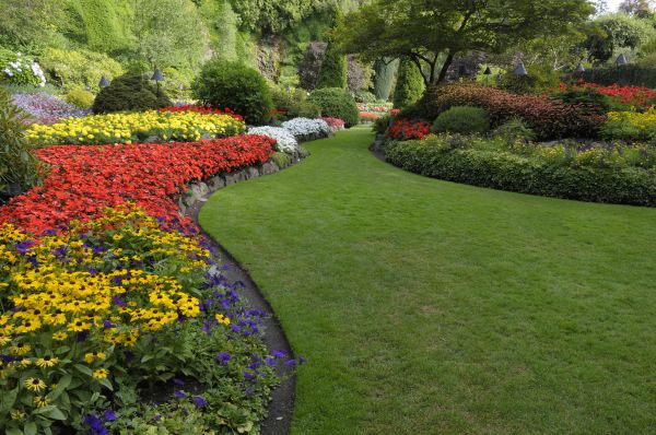 Landscaping Maintenance in Lakeville