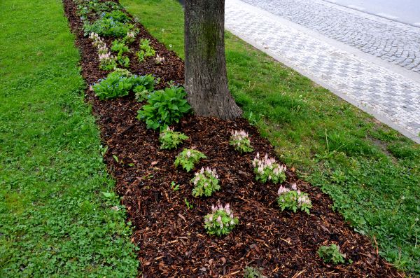 Mulch Replacement Service in Lakeville