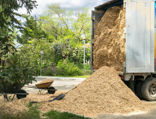 Wood Chips Delivery in Lakeville
