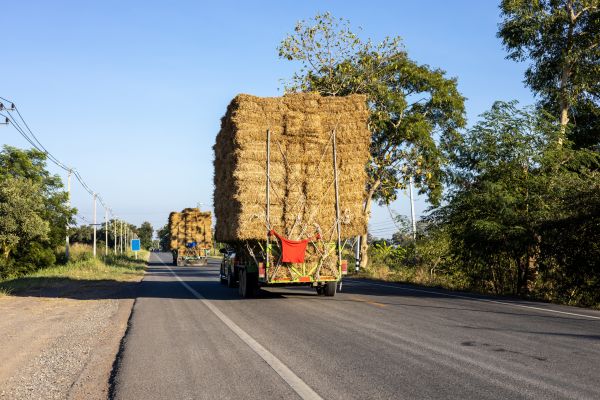 Pine Straw Delivery in Lakeville