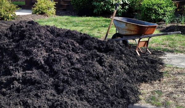 Black Mulch Delivery in Lakeville