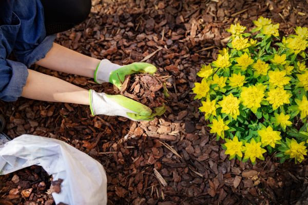 Garden Mulching in Lakeville
