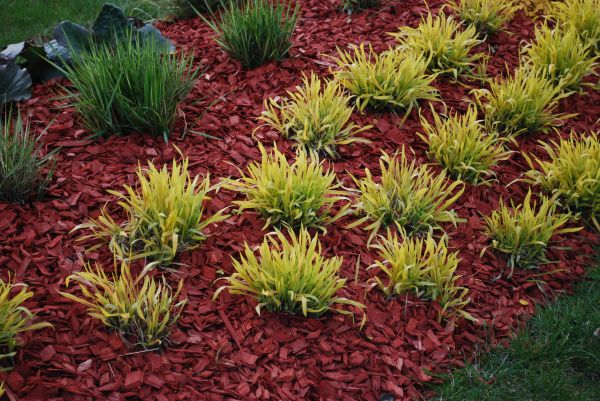 Mulch Landscaping in Lakeville