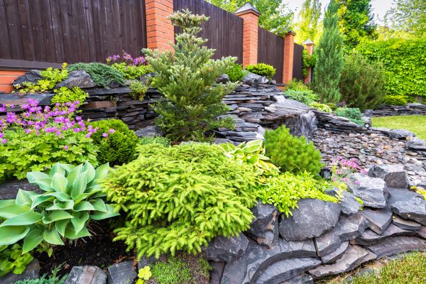 Landscape Remodeling in Lakeville