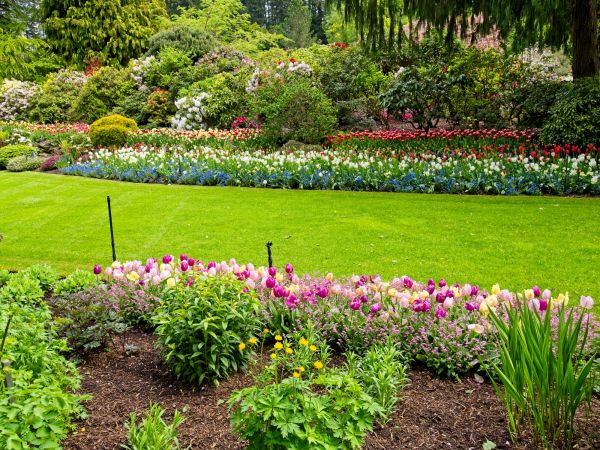 Residential Landscape Design in Lakeville