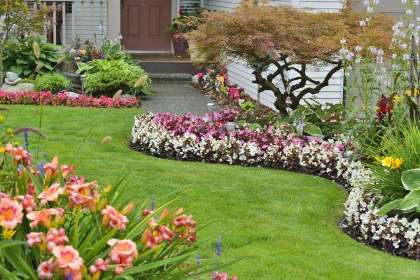 Perennial Landscaping in Lakeville