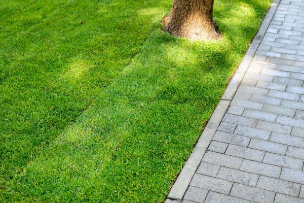 Border Stone Installation in Lakeville
