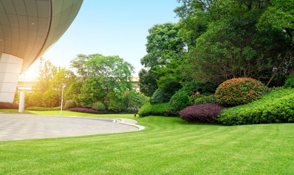 Business Landscape Design in Lakeville