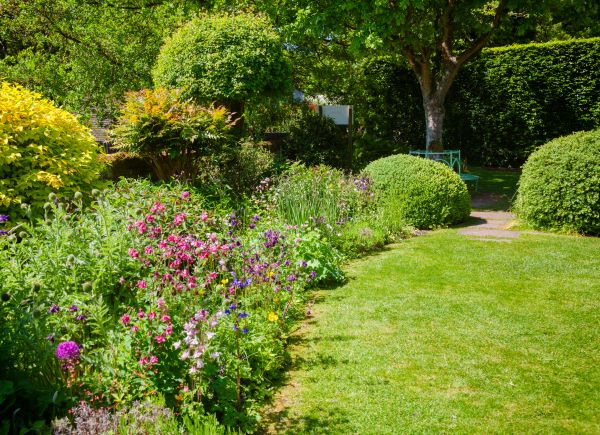 Yard Landscaping Service in Lakeville