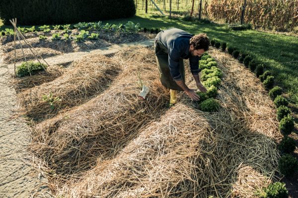 Straw Mulching Service in Lakeville