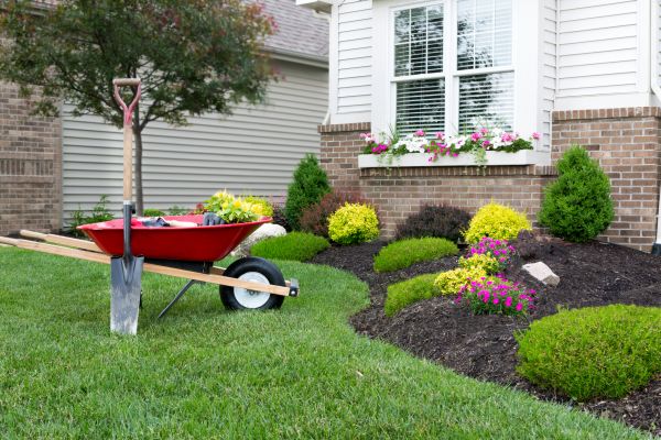 Tree And Shrub Planting in Lakeville