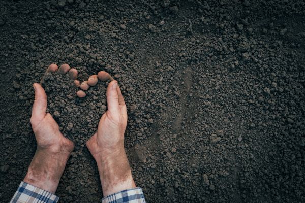Soil Installation in Lakeville
