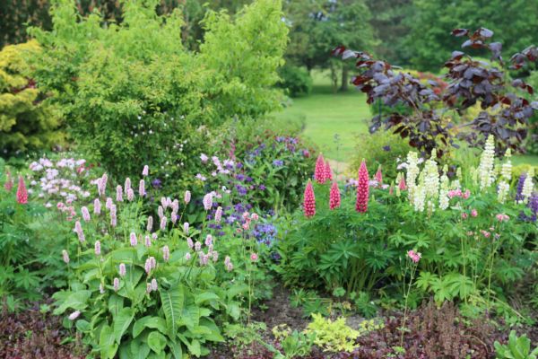 Flower Bed Planting in Lakeville