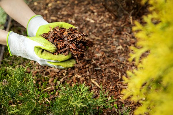 Garden Mulch Delivery in Lakeville