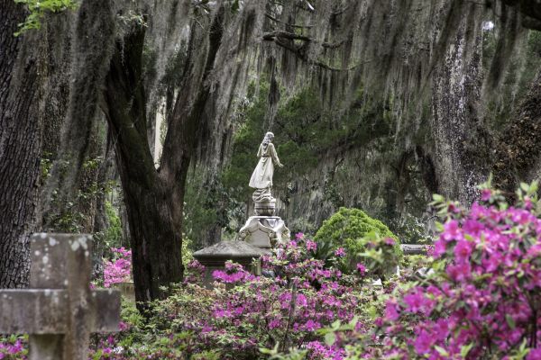 Cemetery Landscaping in Lakeville