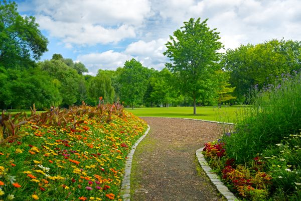 Park Landscaping in Lakeville