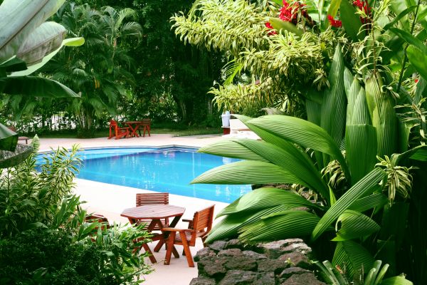 Tropical Garden Landscaping in Lakeville