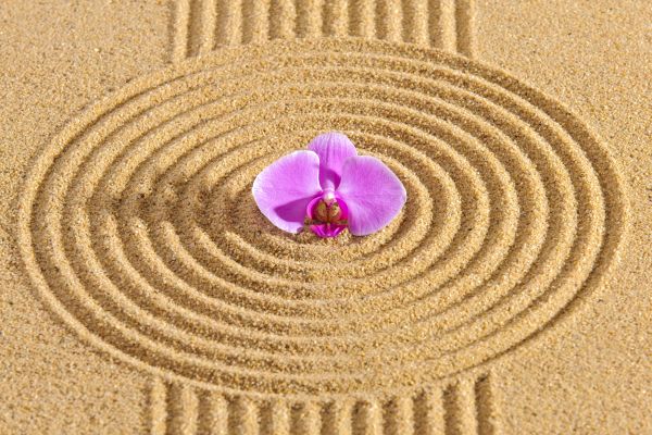 Sand Garden Landscaping in Lakeville