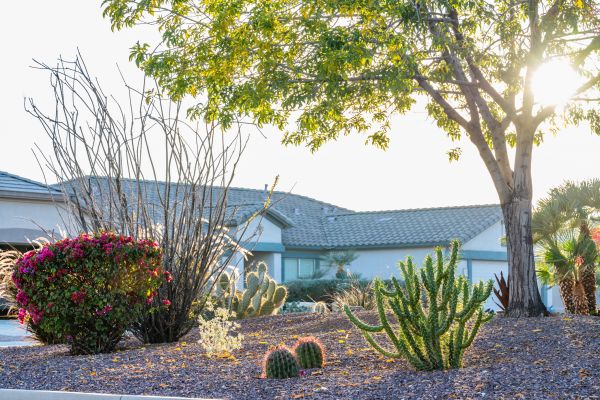 Dryscape Landscaping in Lakeville