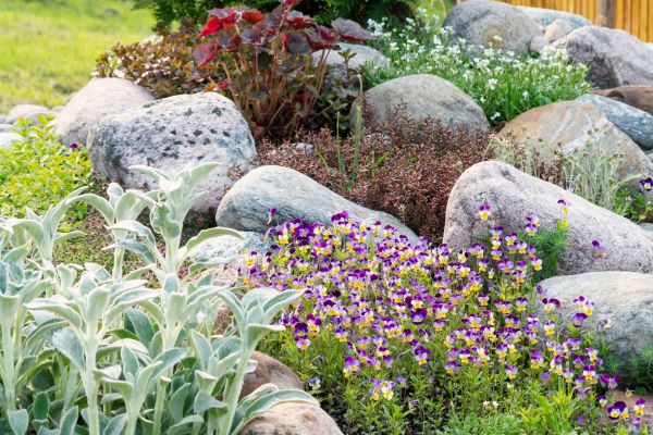 Rock Garden Installation in Lakeville