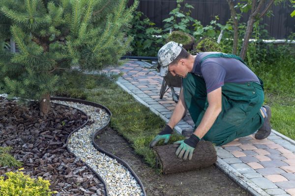 Landscaping Modification in Lakeville