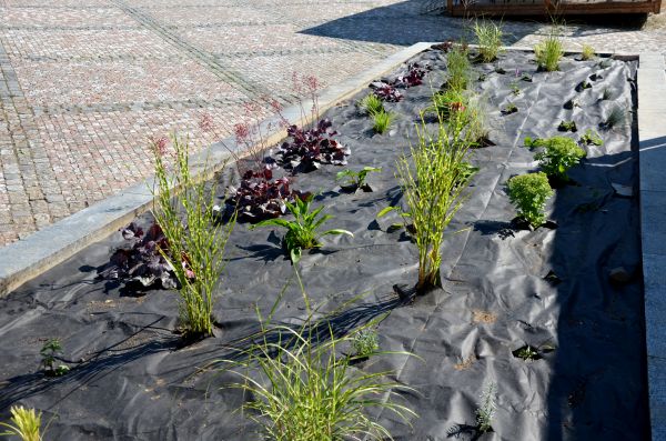 Landscape Fabric Installation in Lakeville