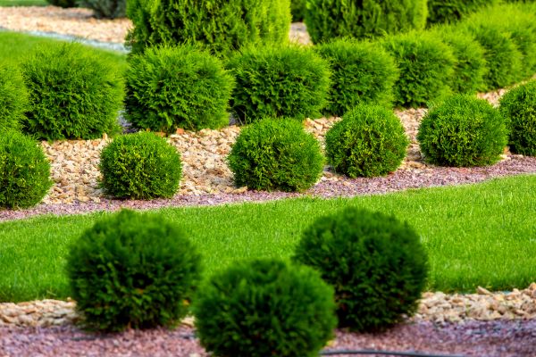Bush Installation in Lakeville