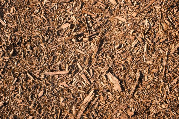 Wood Chips Removal in Lakeville