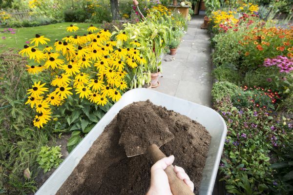 Topsoil Replacement in Lakeville