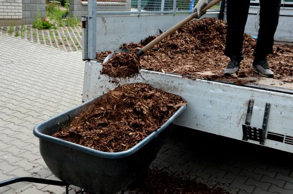 Playground Mulch Delivery in Lakeville