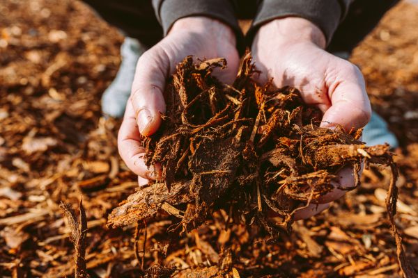 Bark Chips Delivery in Lakeville