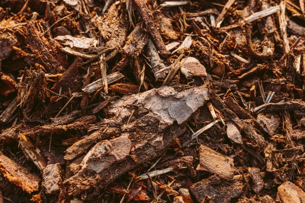 Bark Mulch Delivery in Lakeville