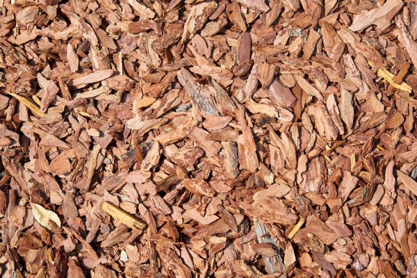 Pine Mulch Spreading in Lakeville