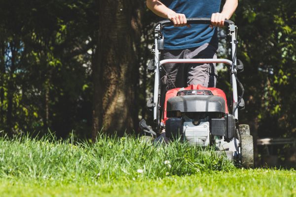 Garden Trimming Service in Lakeville