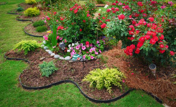 Floral Landscaping in Lakeville