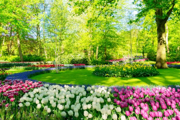 Flower Landscaping in Lakeville