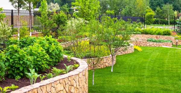 Yard Makeover Service in Lakeville