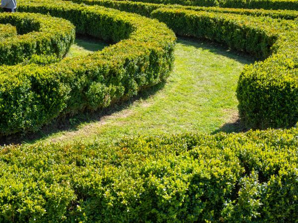 Bush Landscaping in Lakeville