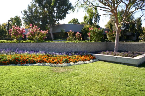 Commercial Landscape Service in Lakeville