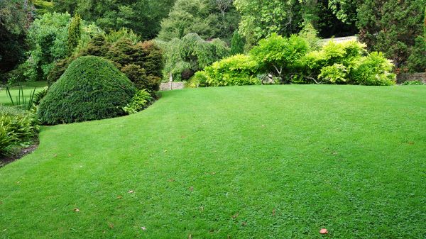 Commercial Landscape Design in Lakeville