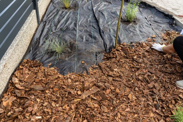 Pine Bark Spreading in Lakeville
