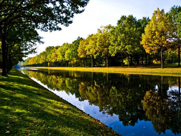 Bank Landscaping in Lakeville