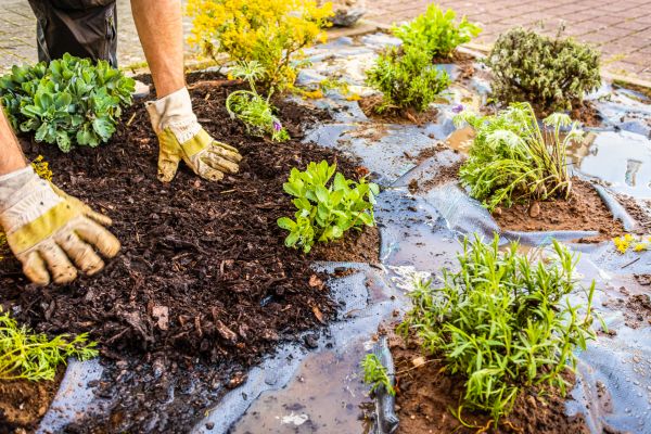 Mulch Fabric Installation in Lakeville