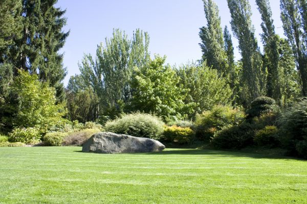 Yard Enlargement in Lakeville
