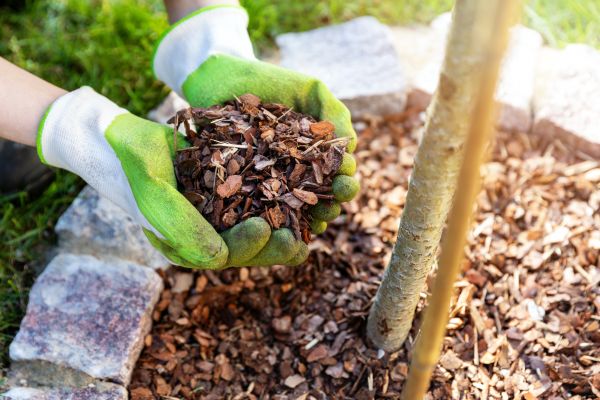 Tree Bark Delivery in Lakeville